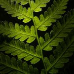 权宠悍妻 漫画大全免费阅读:畅享精彩故事,尽在指尖的漫画世界! 493a5