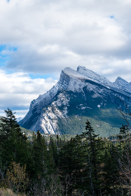 深入解读纽约时报中文网的全球新闻视角