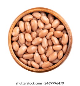 深田詠美 出身：揭秘这位女优的成长背景与成名之路