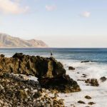 水果派在线中文解说:探索美味水果派的制作与品尝技巧 czynu