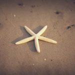 深入解析楪カレン的正确読み方及其背景 ekp39