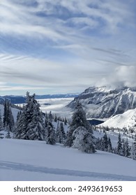 水果派179千金：品味甜蜜与奢华的完美结合