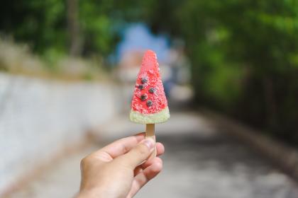 樱花动漫下载电脑版：轻松获取最新动漫资源的最佳选择