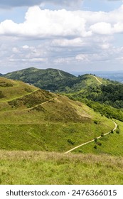 深入解析：sofa在英语中的含义及其文化背景