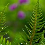 气球导航跳转中:探索奇妙世界的乐趣与冒险之旅 ndcvmarlve