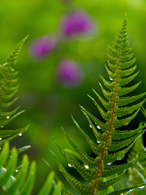 气球导航跳转中：探索奇妙世界的乐趣与冒险之旅