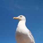 每日黑料不打烊:揭示娱乐圈背后的秘密与真相 oocs8u