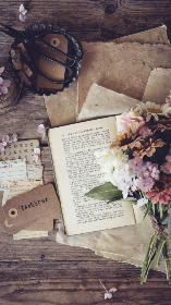 本圣女摊牌了：免费漫画全集在线阅读