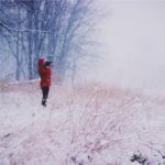 月亮影视官网:探索最新影视资源与精彩内容的最佳平台 wj89psqg