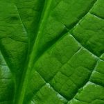 朱可儿 漫画:探索她的奇幻世界与角色魅力 y9vwk8a