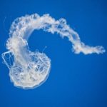 畅享精彩剧集的线上看剧网站推荐与评测 04nuosvt