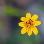 畅享精彩小电影免费在线观看,尽在掌握之中 2q87j1b0