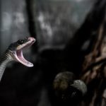 畅享精彩:免费观看海量电影大全,尽在掌握 azylwlw3t9