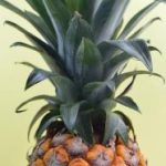 畅享经典影视盛宴:6080白胡子影院的魅力与回忆 ep1uk