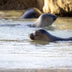 畅享精彩直播,轻松访问天仙TV入口 ittvmw5g7