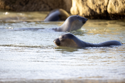 畅享精彩直播，轻松访问天仙TV入口