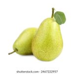 畅享精彩电影:免费在线观看在线平台推荐 jp23o9