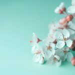 畅享精彩影片,尽在皮皮虾影院 kshyw8pt