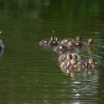 畅享精彩内容,笔盒在线观看网址1带你领略无限乐趣 o0lz6peo2t