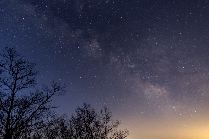 畅享精彩漫画世界，漫蛙漫画官网app下载指南